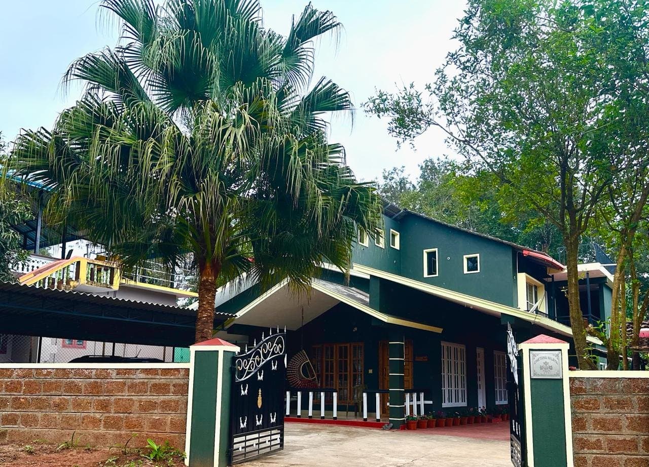 Leaflink homestay entrance with a palm tree, brick compound wall and gate in Chettalli, Coorg